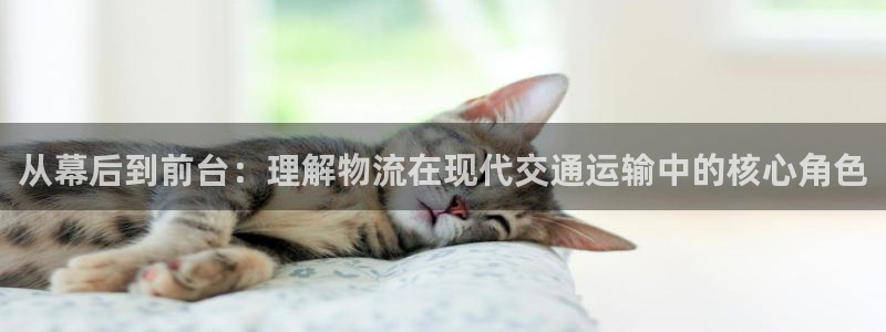 门徒娱乐官网