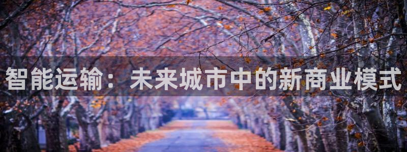 门徒娱乐线路图片高清